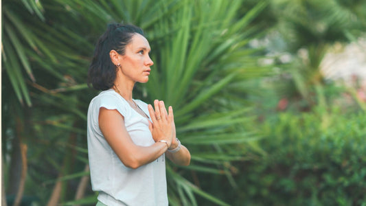 Adaptogens for Perimenopause: A Complete Guide to Nature's Stress-Fighters - Pholia™